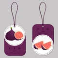 Vector icon illustration logo for whole ripe fruit purple fig Royalty Free Stock Photo