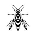 Vector icon insect-Wasp .Black vector icon