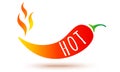 Vector icon of red chilli pepper in fire Royalty Free Stock Photo