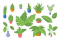 Vector icon set different plants, colorful leaves isolated on white background. Leaf collection vector silhouette Royalty Free Stock Photo