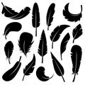 Feather collection vector icon set. Royalty Free Stock Photo