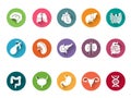 Vector icon set of human internal organs Royalty Free Stock Photo