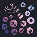 Vector icon set of icons inscribed in a circle filled with a gradient on the theme of wild bird life.