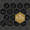Vector icon set of icons inscribed in honeycombs on the theme of the wild life of birds.