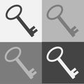 Vector icon set of a key. Vector flat illustration on a gray background Royalty Free Stock Photo