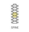 Vector icon spine, for physiotherapy and rehabilitation. Linear illustration