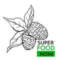 Vector icon superfood noni