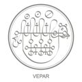 Vector icon with symbol of demon Vepar