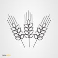 Vector icon of three wheat ears Royalty Free Stock Photo