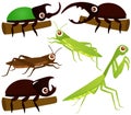 Vector Icons : Grasshopper, Beetle, Praying Mantis