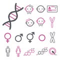 Vector icon set for creating infographics related to gender, transgender and Intersex like DNA, chromosomes, male and female horm