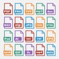 Vector icons set of digital file formats