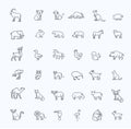 Vector icons. Zoo. Animals Royalty Free Stock Photo