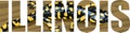 Vector Illinois- American state word with Eastern Tiger Salamander Royalty Free Stock Photo
