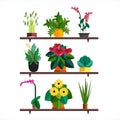Vector illlustration of potted Home plant and flowers for interior Royalty Free Stock Photo