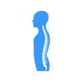 Vector illstration of spine. Flat design. Isolated.