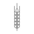 Vector illstration of wheat ears icon. Outline design. Isolated. Royalty Free Stock Photo