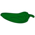 Jalapeno green pepper