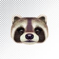 Vector Illustrated face of Raccoon.