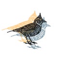 Vector Illustrated lark bird in engraved technic on white background Royalty Free Stock Photo