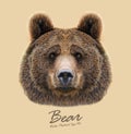 Vector Illustrated Portrait of Bear on beige background