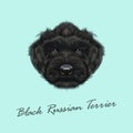 Vector Illustrated Portrait of Black Russian Terrier dog.