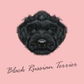 Vector Illustrated Portrait of Black Russian Terrier dog.