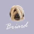 Vector Illustrated Portrait of Briard dog.