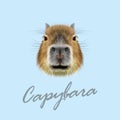 Vector Illustrated Portrait of Capybara.