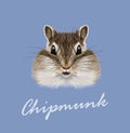 Vector Illustrated portrait of Chipmunk