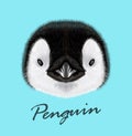 Vector Illustrated portrait of Emperor penguin chick Royalty Free Stock Photo