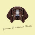 Vector Illustrated portrait of German Shorthaired Pointer dog.