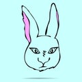 Vector Illustrated Portrait of Hare