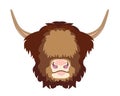 Vector Illustrated portrait of Highland cattle.