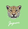 Vector Illustrated portrait of Jaguar