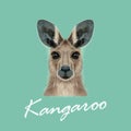 Vector Illustrated portrait of Kangaroo