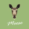 Vector Illustrated Portrait of Moose.