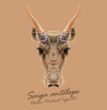 Vector Illustrated Portrait of Saiga antelope.