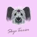 Vector illustrated Portrait of Skye Terrier.