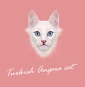 Vector Illustrated Portrait of Turkish Angora cat.