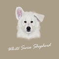 Vector Illustrated Portrait of White Swiss Shepherd dog