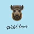 Vector Illustrated of Wild boar.