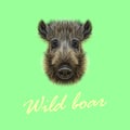 Vector Illustrated of Wild boar.