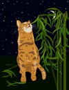 Vector illustration of Abyssinia cat eating home plant, humour