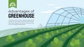 Greenhouse cultivation in agriculture. Design template for horticulture or agronomy.