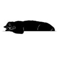 Black silhouette of a sleeping cat