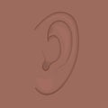 Anatomy_African American and indian ear