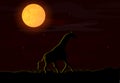 Vector illustration of an African landscape with wildlife on a night scene, full moon and night sky Royalty Free Stock Photo