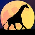 Vector illustration of an African landscape with wildlife on a night scene, full moon and night sky Royalty Free Stock Photo