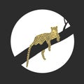 Vector illustration of african leopard - hand drawn retro vintage poster design. Panther animal portarit